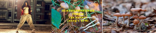 первитин Сатка