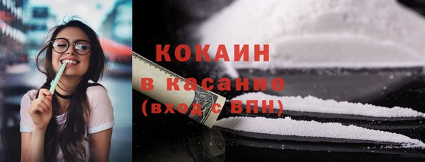 PSILOCYBIN Няндома