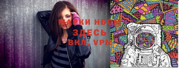 PSILOCYBIN Няндома