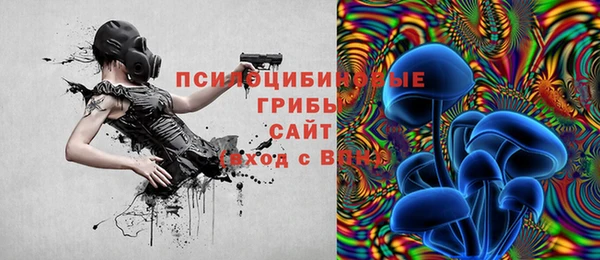 PSILOCYBIN Няндома