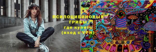 PSILOCYBIN Няндома