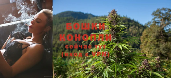 PSILOCYBIN Няндома