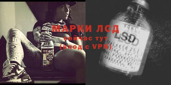 PSILOCYBIN Няндома