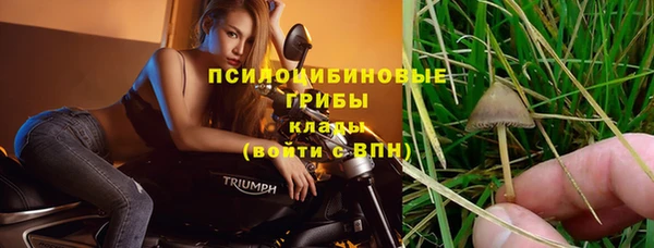PSILOCYBIN Няндома