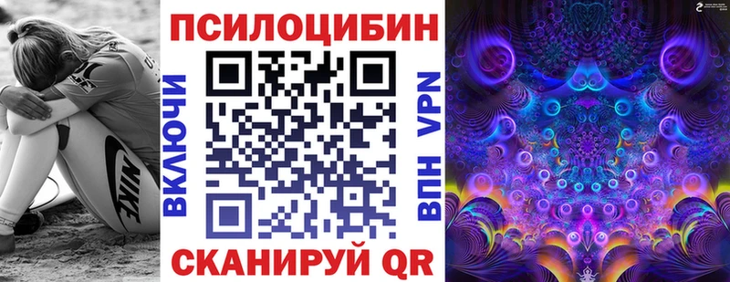 как найти наркотики  Ак-Довурак  Псилоцибиновые грибы Magic Shrooms 